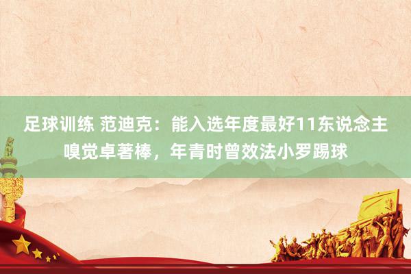 足球训练 范迪克：能入选年度最好11东说念主嗅觉卓著棒，年青时曾效法小罗踢球