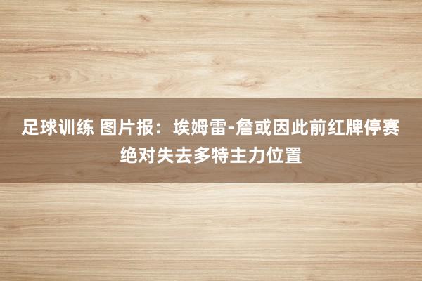 足球训练 图片报：埃姆雷-詹或因此前红牌停赛绝对失去多特主力位置