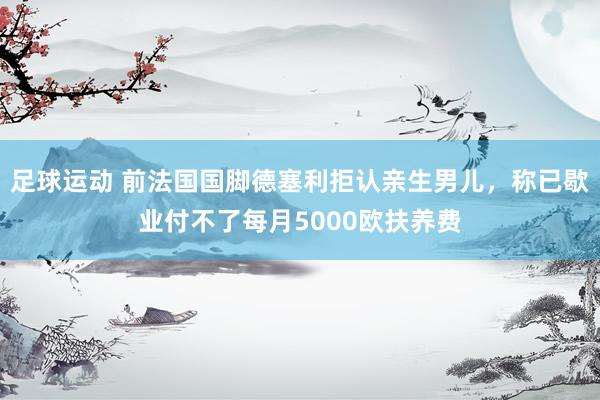 足球运动 前法国国脚德塞利拒认亲生男儿，称已歇业付不了每月5000欧扶养费