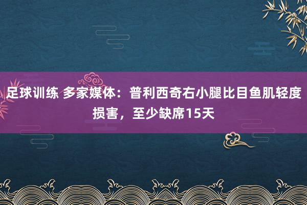 足球训练 多家媒体：普利西奇右小腿比目鱼肌轻度损害，至少缺席15天