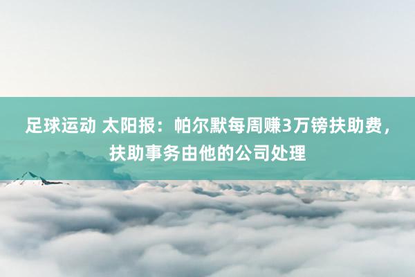 足球运动 太阳报：帕尔默每周赚3万镑扶助费，扶助事务由他的公司处理