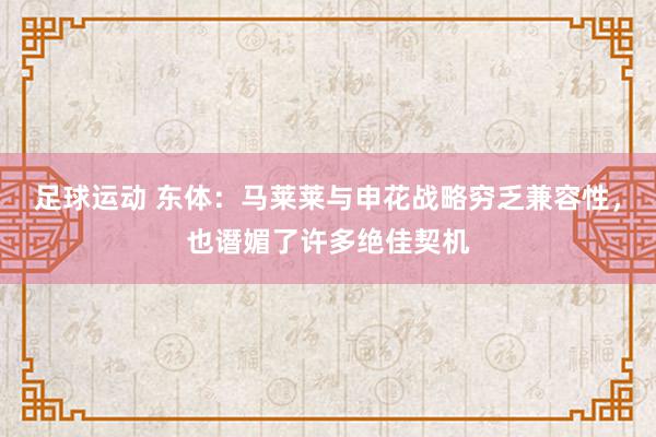 足球运动 东体：马莱莱与申花战略穷乏兼容性，也谮媚了许多绝佳契机