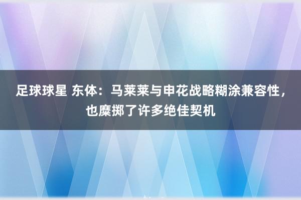 足球球星 东体：马莱莱与申花战略糊涂兼容性，也糜掷了许多绝佳契机