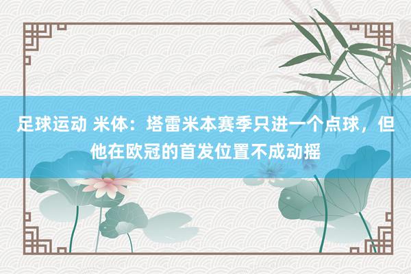 足球运动 米体：塔雷米本赛季只进一个点球，但他在欧冠的首发位置不成动摇