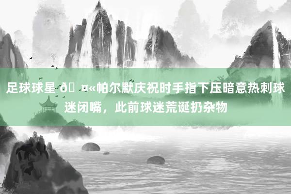 足球球星 🤫帕尔默庆祝时手指下压暗意热刺球迷闭嘴，此前球迷荒诞扔杂物