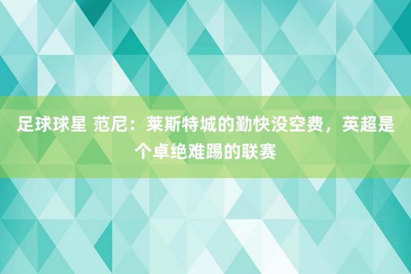 足球球星 范尼：莱斯特城的勤快没空费，英超是个卓绝难踢的联赛