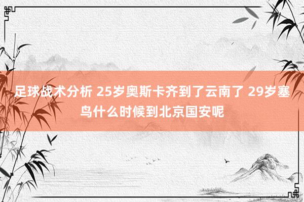 足球战术分析 25岁奥斯卡齐到了云南了 29岁塞鸟什么时候到北京国安呢